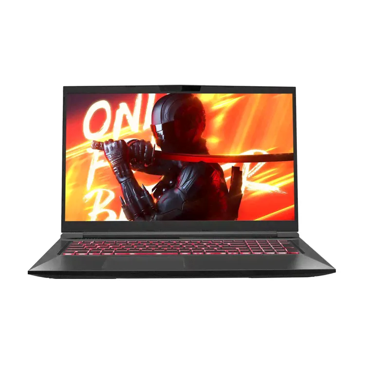 Ноутбук 17.3" Maibenben X725 (X725FSFNLBRE0), черный