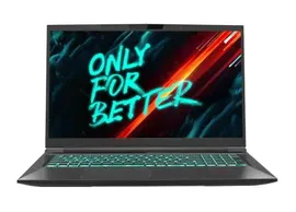 Ноутбук 17.3" Maibenben X668 QHD IPS 165Hz/i7-12700H/16Gb/1Tb SSD/RTX 3070 8Gb Чёрный