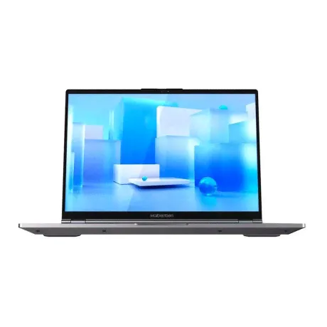 Ноутбук Maibenben P429 Grey (P4292SB0LGRE0)-1