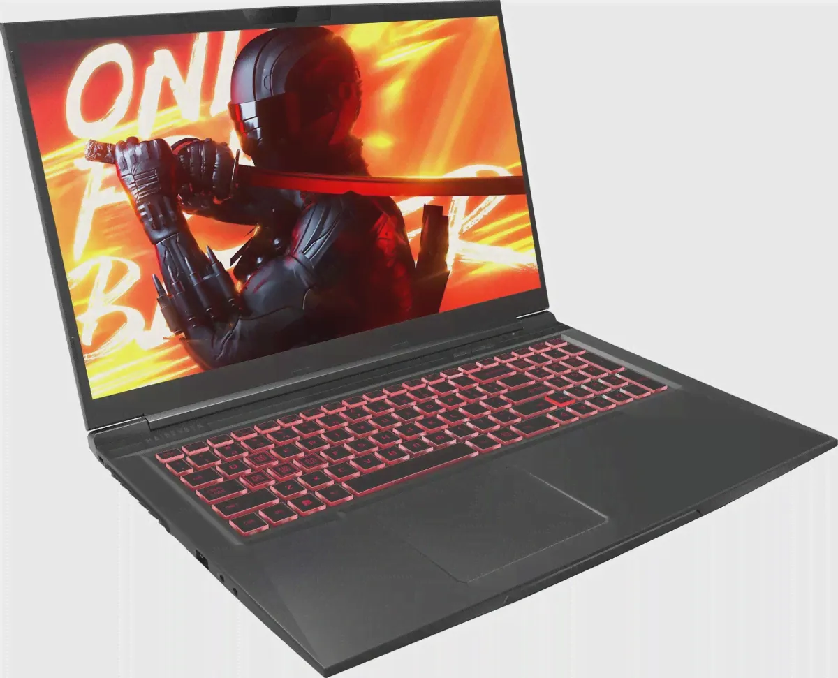 Ноутбук MAIBENBEN X725 17.3" (X725FSFNLBRE0)