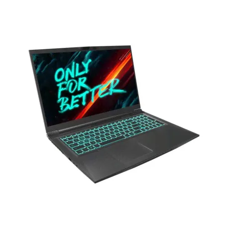 Ноутбук Maibenben X668 17,3" (X668QSFELBRE0)-3