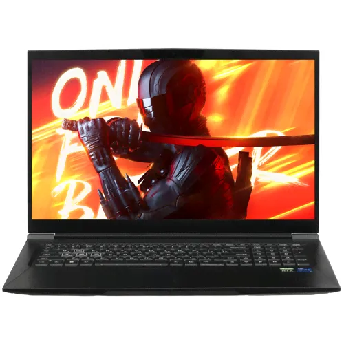 Ноутбук Maibenben X668 17.3″/Core i7/16/SSD 512/3070/Linux/черный-1
