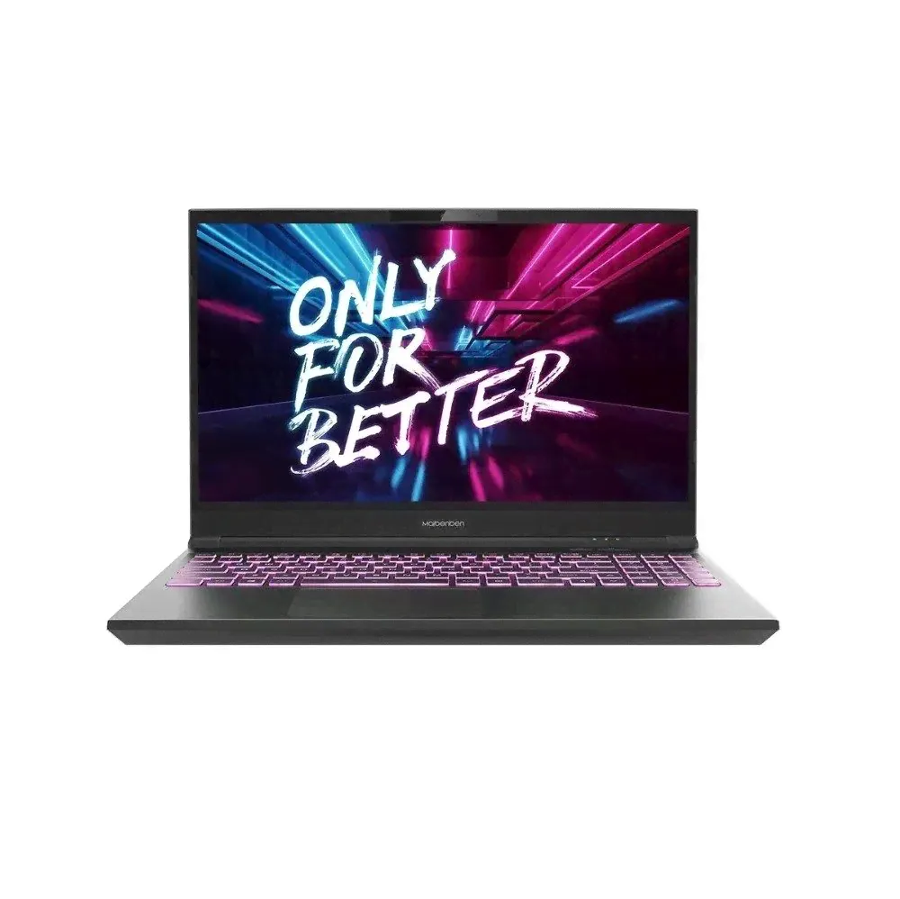 Ноутбук Maibenben X525 15.6" X525FSFMLGRE1
