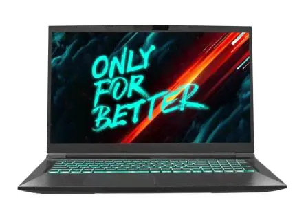 Ноутбук 17.3" Maibenben X668 QHD IPS 165Hz/i7-12700H/16Gb/1Tb SSD/RTX 3070 8Gb Чёрный