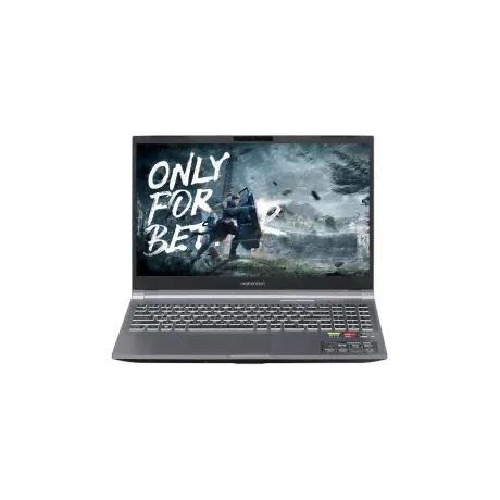 Ноутбук Maibenben X565 Grey (X565FSFALGRE0)-2