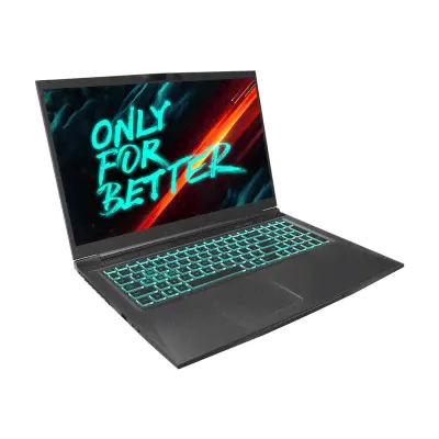 Ноутбук Maibenben X668 X668QSFELBRE0 в Волгограде-4