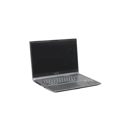 Ноутбук Maibenben X565 Grey (X565FSFALGRE0)