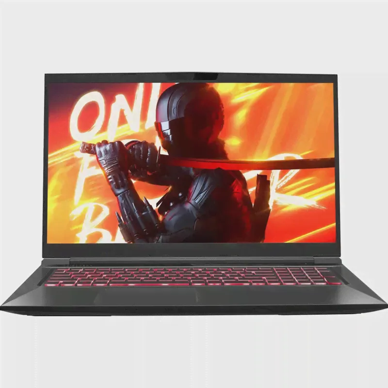 Ноутбук Maibenben X725 17.3-0