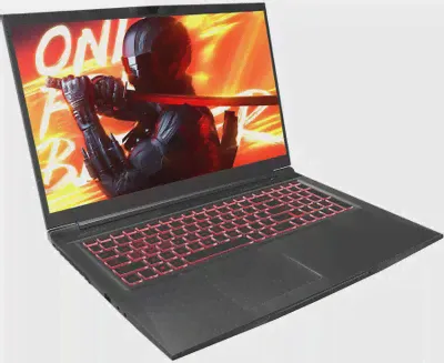 Ноутбук Maibenben X668 17.3″/Core i7/16/SSD 512/3070/Linux/черный-4